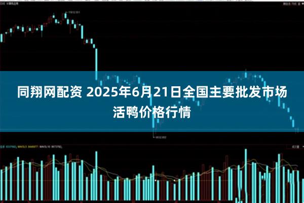 同翔网配资 2025年6月21日全国主要批发市场活鸭价格行情