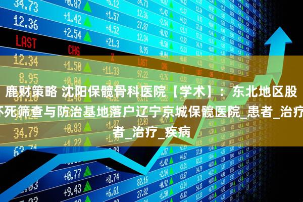 鹿财策略 沈阳保髋骨科医院【学术】：东北地区股骨头坏死筛查与防治基地落户辽宁京城保髋医院_患者_治疗_疾病