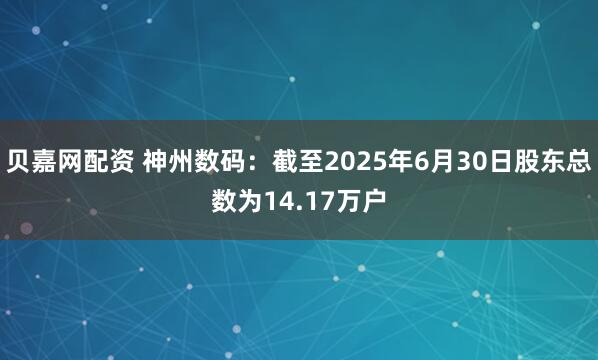 贝嘉网配资 神州数码：截至2025年6月30日股东总数为14.17万户