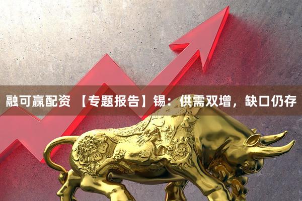 融可赢配资 【专题报告】锡：供需双增，缺口仍存