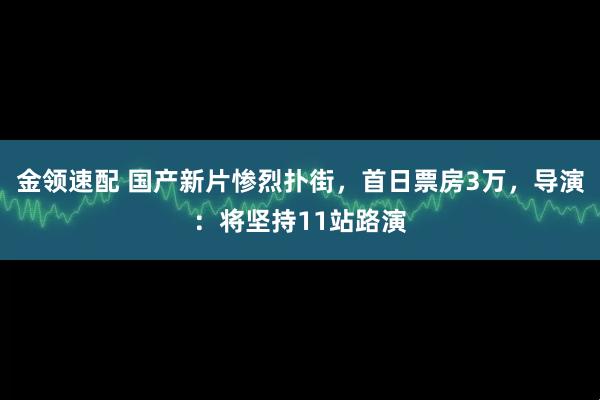 金领速配 国产新片惨烈扑街,首日票房3万,导演:将坚持11站路演
